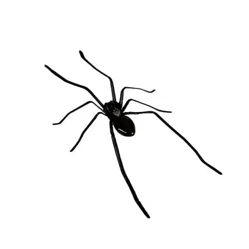 đˇ Spider Fridge Magnet đRealistic Spider Magnets, for Refrigerator, Garage Door, or Car