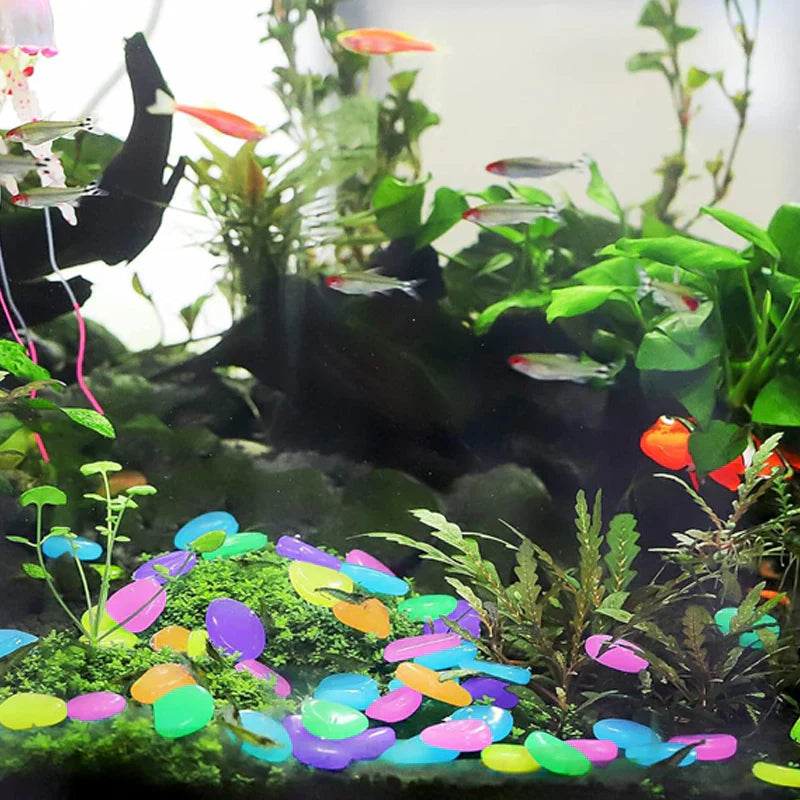 🌈 Glow-in-the-Dark Pebbles- Garden & Aquarium Decor-wsm