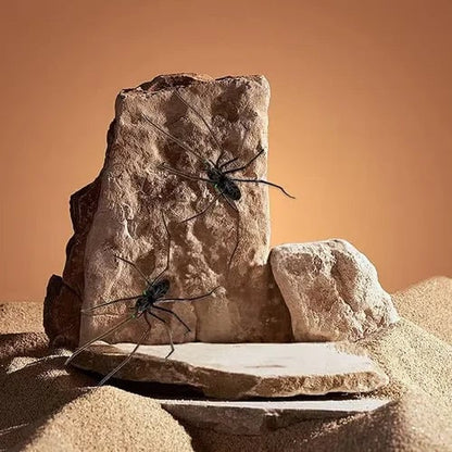 🕷 Spider Fridge Magnet 🎁Realistic Spider Magnets, for Refrigerator, Garage Door, or Car