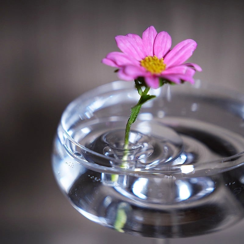 🌷2026 Creative Floating Floral Arrangement Holder