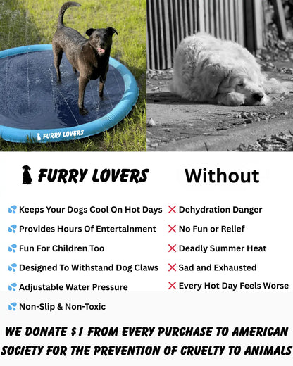 🔥Last Day Promotion 49% OFF🔥 - Dog Water Play Mat