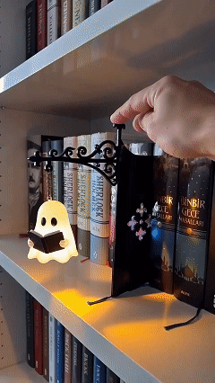 👻Ghost Bookshelf Lantern