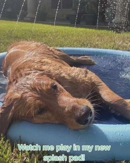 🔥Last Day Promotion 49% OFF🔥 - Dog Water Play Mat