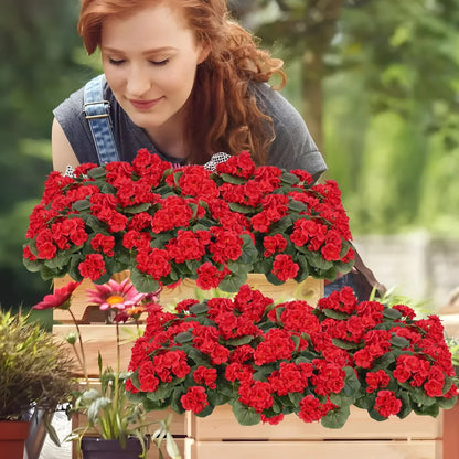 🌺8 Bundles UV Resistant Artificial Geraniums