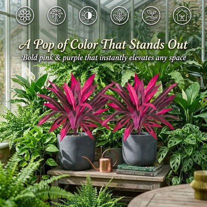 🏆Flash Sale⚡ 50K+ SOLD! Large Artificial Boston Fern & Dragon's Blood Tree Plants 🌼