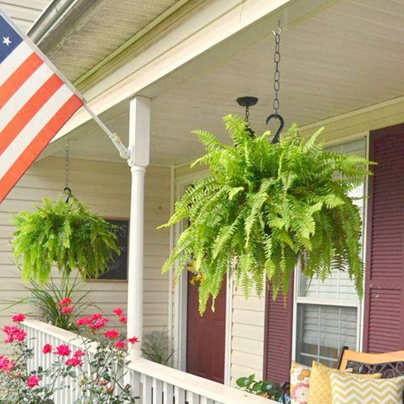 🔥 Last Day 50% OFF 🌱 UV-Resistant Lifelike Artificial Boston Fern